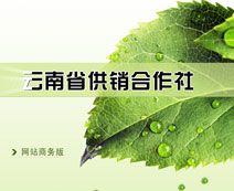 云南省供銷社網站案例展示